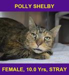 POLLY SHELBY